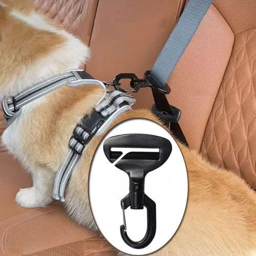 Dog seat belt clip attached to car seat belt