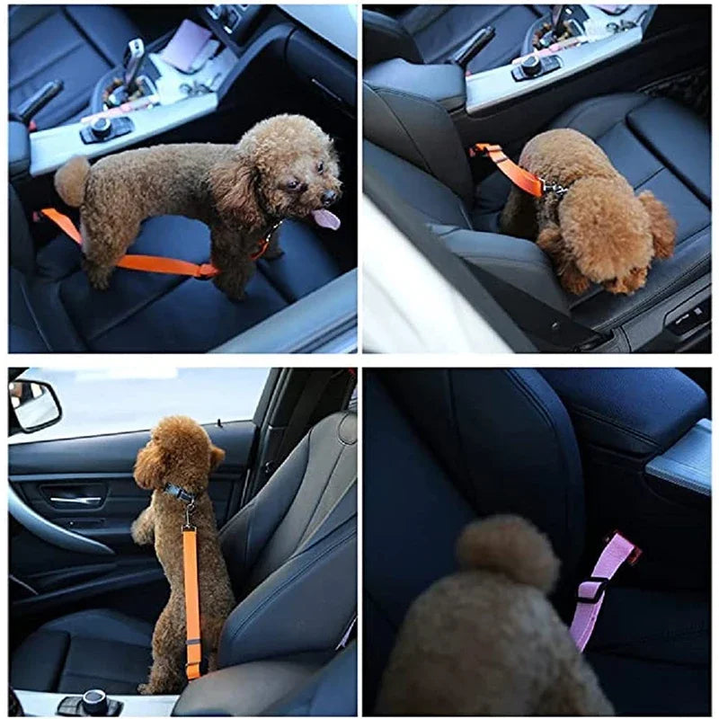Car dog safety buckle designed to improve pet and driver safety
