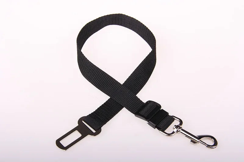 Dog travel safety belt keeping pets stable and comfortable in the car