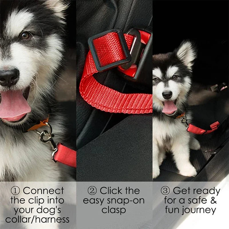 Dog car travel restraint made for everyday driving and long trips