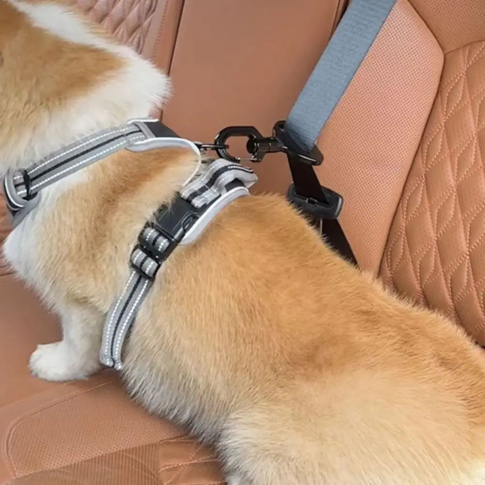 Aluminum alloy dog safety clip close-up