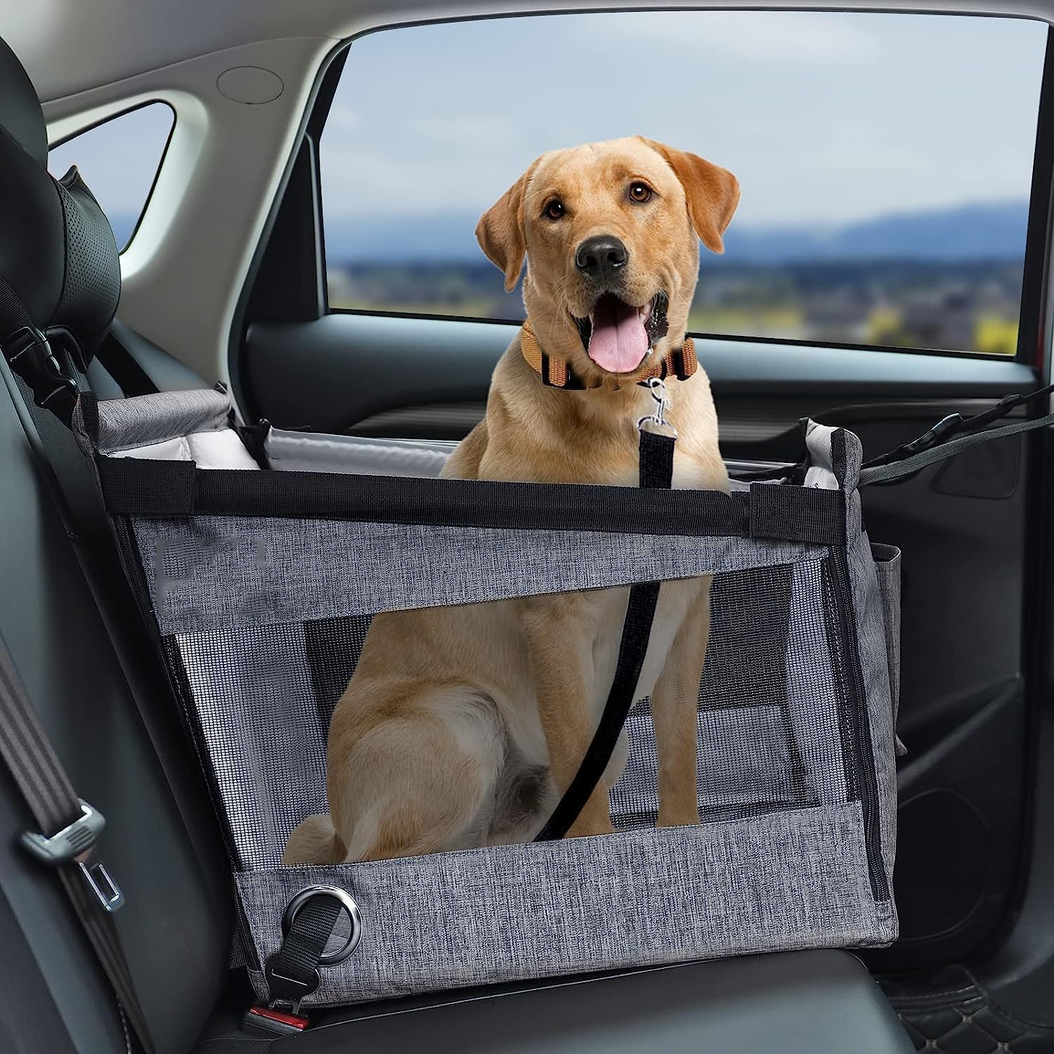 Dog sitting safely behind a car seat barrier with mesh window
